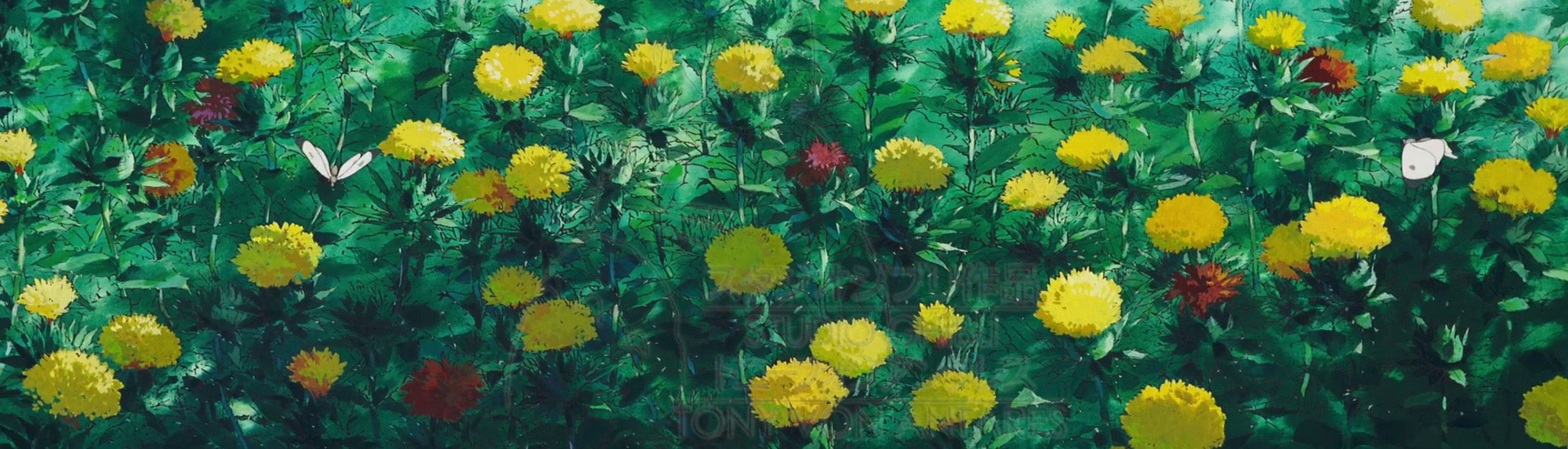 campo verde repleto de flores amarelas